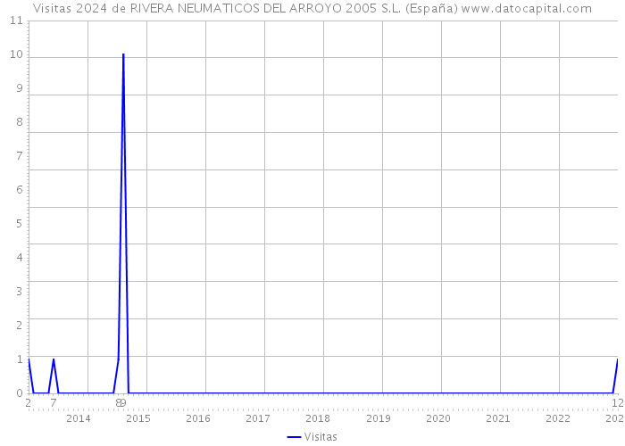 Visitas 2024 de RIVERA NEUMATICOS DEL ARROYO 2005 S.L. (España) 