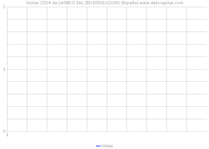 Visitas 2024 de LANEKO SAL (EN DISOLUCION) (España) 