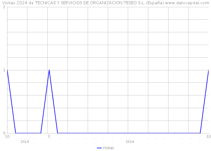 Visitas 2024 de TECNICAS Y SERVICIOS DE ORGANIZACION TESEO S.L. (España) 