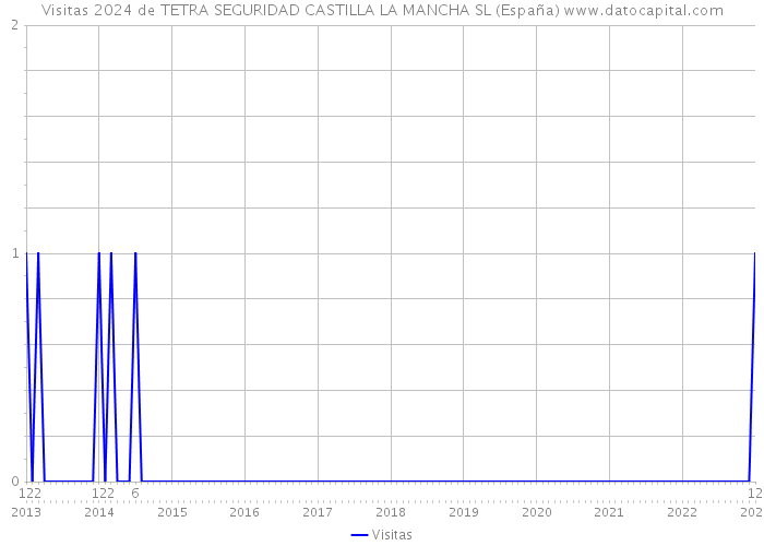 Visitas 2024 de TETRA SEGURIDAD CASTILLA LA MANCHA SL (España) 