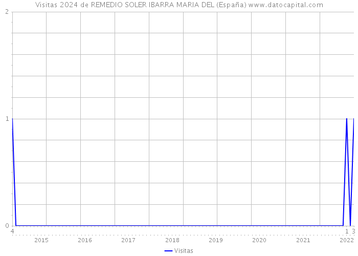 Visitas 2024 de REMEDIO SOLER IBARRA MARIA DEL (España) 