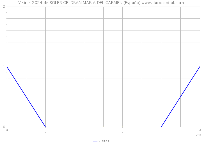 Visitas 2024 de SOLER CELDRAN MARIA DEL CARMEN (España) 