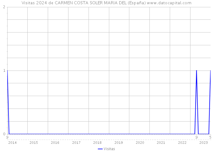 Visitas 2024 de CARMEN COSTA SOLER MARIA DEL (España) 