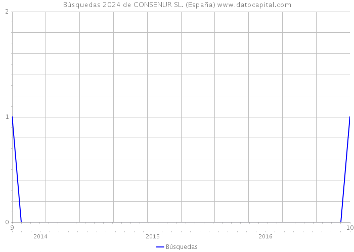 Búsquedas 2024 de CONSENUR SL. (España) 