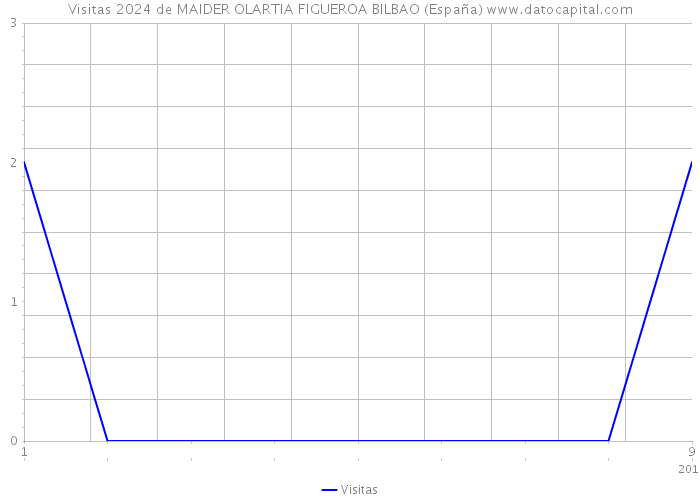 Visitas 2024 de MAIDER OLARTIA FIGUEROA BILBAO (España) 