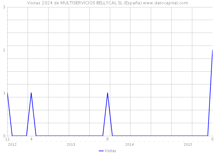 Visitas 2024 de MULTISERVICIOS BELLYCAL SL (España) 
