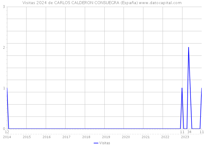 Visitas 2024 de CARLOS CALDERON CONSUEGRA (España) 