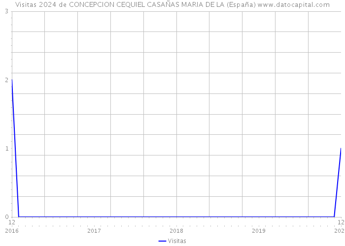 Visitas 2024 de CONCEPCION CEQUIEL CASAÑAS MARIA DE LA (España) 