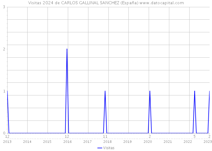 Visitas 2024 de CARLOS GALLINAL SANCHEZ (España) 