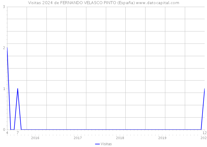 Visitas 2024 de FERNANDO VELASCO PINTO (España) 