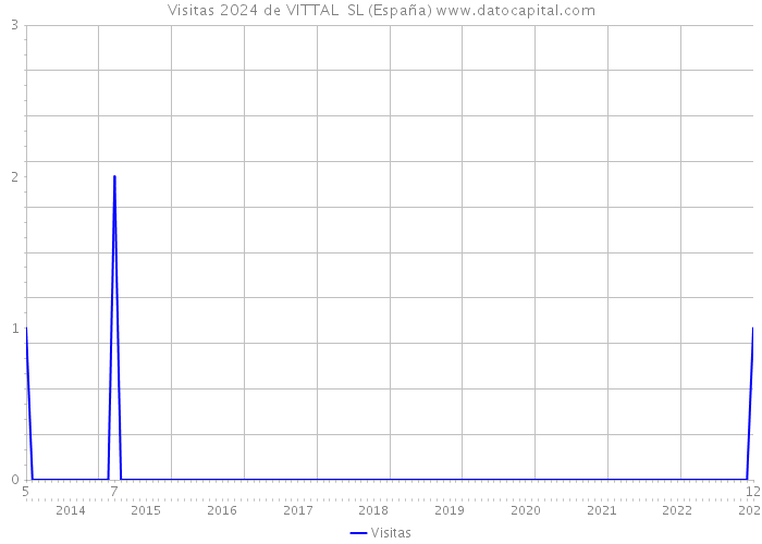 Visitas 2024 de VITTAL SL (España) 