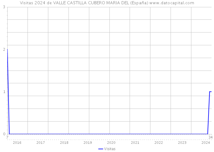 Visitas 2024 de VALLE CASTILLA CUBERO MARIA DEL (España) 