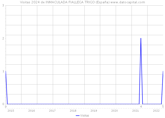 Visitas 2024 de INMACULADA FIALLEGA TRIGO (España) 