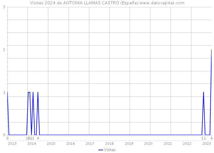 Visitas 2024 de ANTONIA LLAMAS CASTRO (España) 