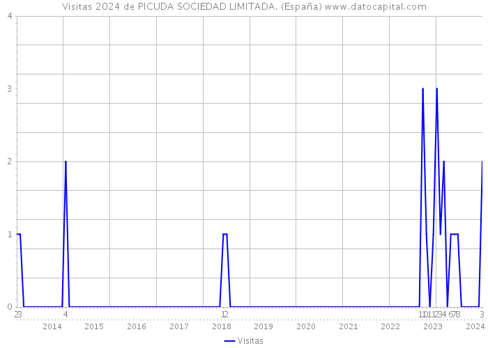 Visitas 2024 de PICUDA SOCIEDAD LIMITADA. (España) 