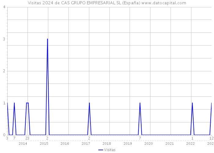 Visitas 2024 de CAS GRUPO EMPRESARIAL SL (España) 