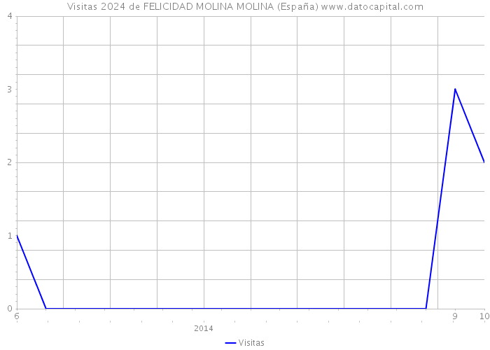 Visitas 2024 de FELICIDAD MOLINA MOLINA (España) 