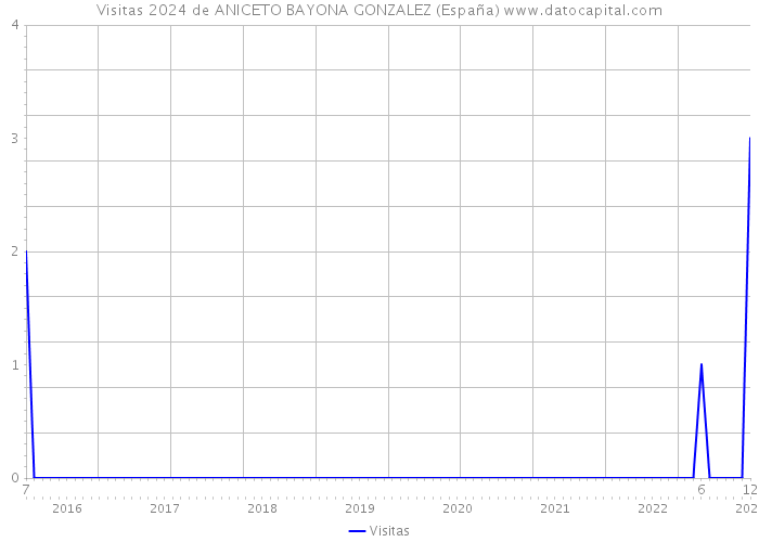 Visitas 2024 de ANICETO BAYONA GONZALEZ (España) 