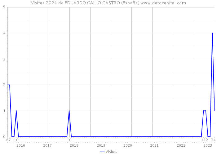 Visitas 2024 de EDUARDO GALLO CASTRO (España) 