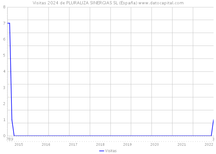 Visitas 2024 de PLURALIZA SINERGIAS SL (España) 