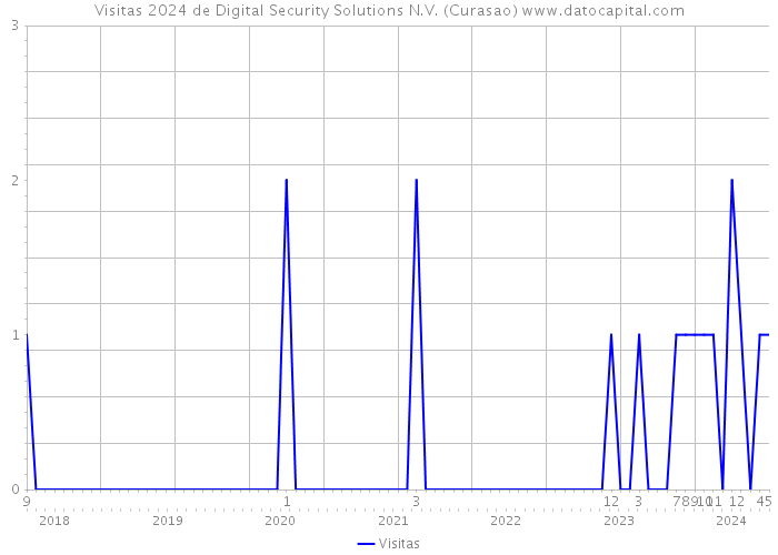 Visitas 2024 de Digital Security Solutions N.V. (Curasao) 