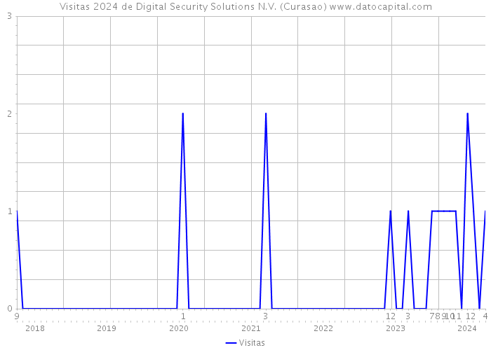 Visitas 2024 de Digital Security Solutions N.V. (Curasao) 