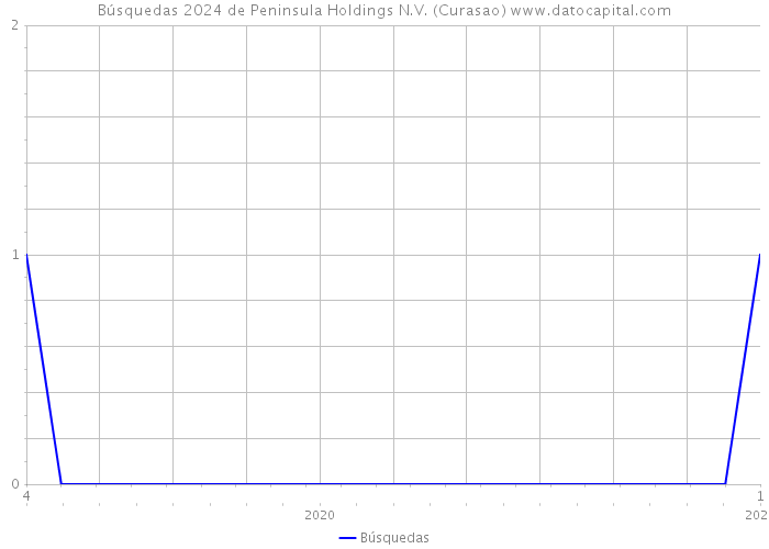 Búsquedas 2024 de Peninsula Holdings N.V. (Curasao) 