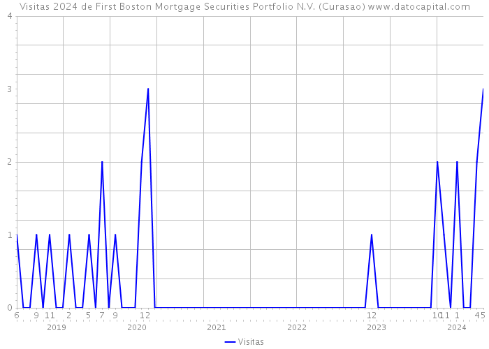 Visitas 2024 de First Boston Mortgage Securities Portfolio N.V. (Curasao) 