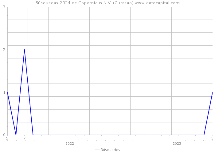 Búsquedas 2024 de Copernicus N.V. (Curasao) 
