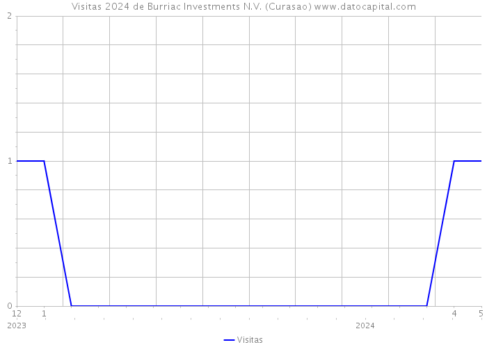 Visitas 2024 de Burriac Investments N.V. (Curasao) 