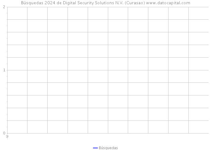 Búsquedas 2024 de Digital Security Solutions N.V. (Curasao) 