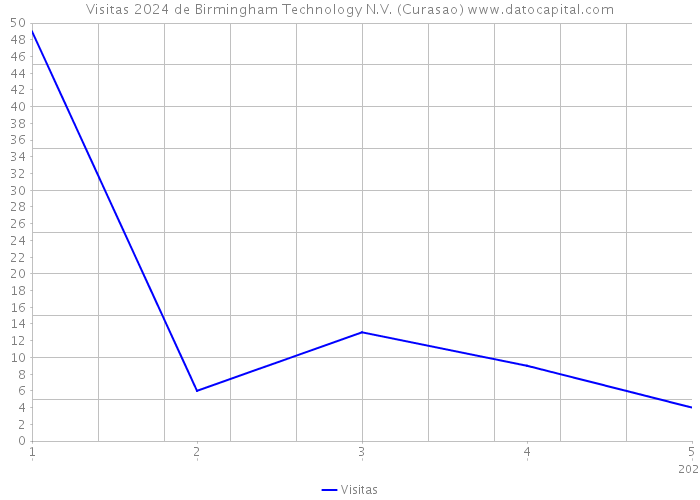 Visitas 2024 de Birmingham Technology N.V. (Curasao) 