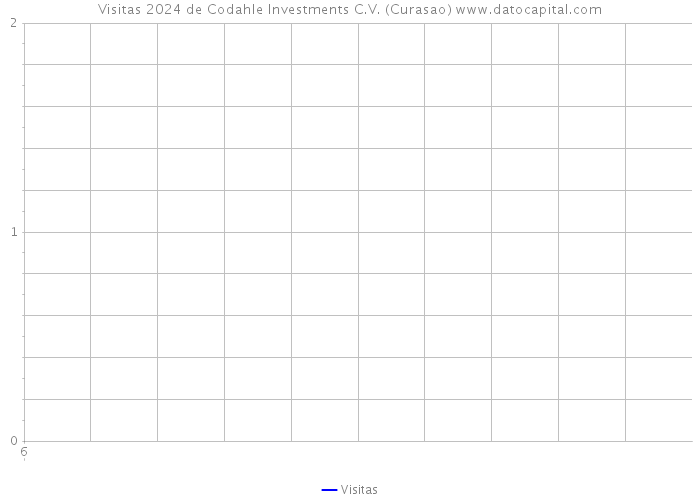 Visitas 2024 de Codahle Investments C.V. (Curasao) 