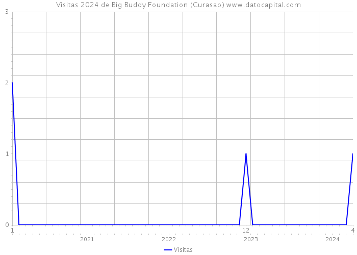 Visitas 2024 de Big Buddy Foundation (Curasao) 