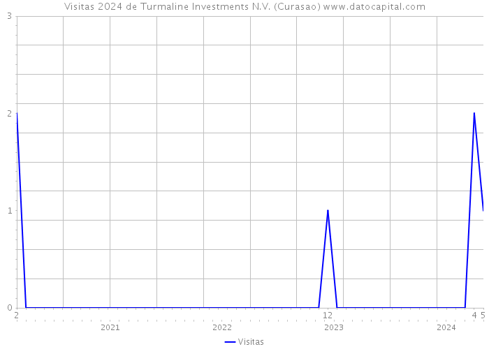 Visitas 2024 de Turmaline Investments N.V. (Curasao) 