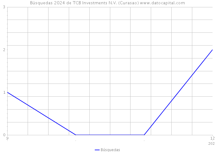 Búsquedas 2024 de TCB Investments N.V. (Curasao) 