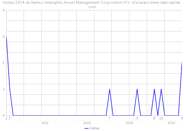 Visitas 2024 de Itamco Intangible Assets Management Corporation N.V. (Curasao) 