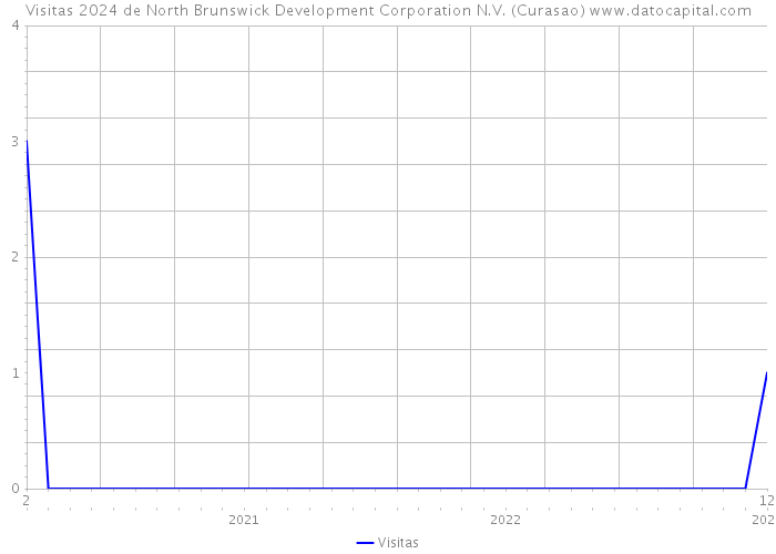 Visitas 2024 de North Brunswick Development Corporation N.V. (Curasao) 