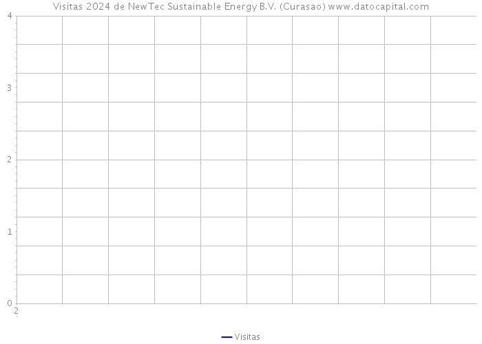 Visitas 2024 de NewTec Sustainable Energy B.V. (Curasao) 