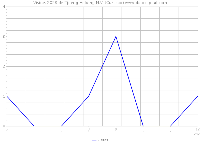 Visitas 2023 de Tjoeng Holding N.V. (Curasao) 