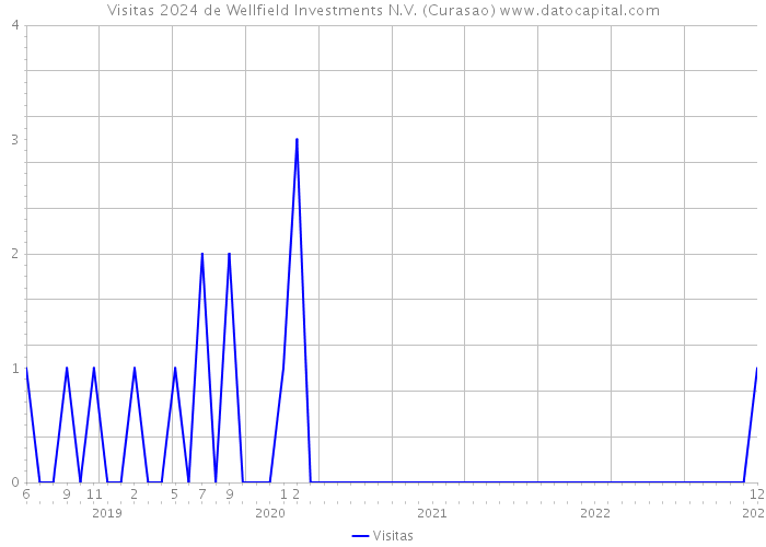 Visitas 2024 de Wellfield Investments N.V. (Curasao) 